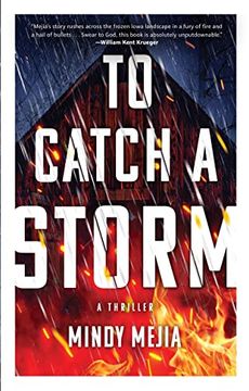 portada To Catch a Storm (en Inglés)