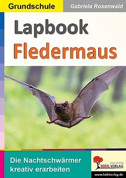 portada Lapbook Fledermaus (en Alemán)