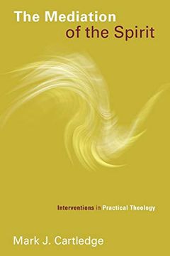 portada Mediation of the Spirit: Interventions in Practical Theology (Pentecostal Manifestos (Pm)) (in English)
