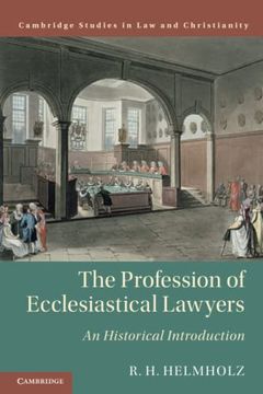 portada The Profession of Ecclesiastical Lawyers (Law and Christianity) (en Inglés)
