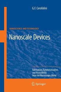 portada nanoscale devices: fabrication, functionalization, and accessibility from the macroscopic world (en Inglés)