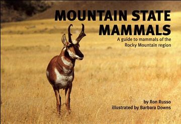 portada The Mountain State Mammals: The Infinite Possibilities of a Balanced Brain (Nature Study Guides) (en Inglés)