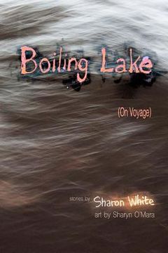 portada Boiling Lake (On Voyage): very short stories (COLOR EDITION) (in English)