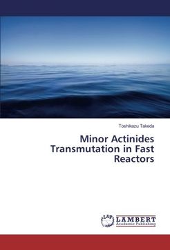 portada Minor Actinides Transmutation in Fast Reactors