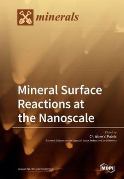 portada Mineral Surface Reactions at the Nanoscale (en Inglés)