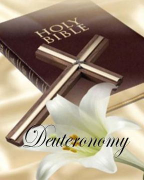 portada Deuteronomy: 5th Book of The Old Testament (in English)