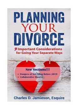portada Planning Your Divorce: 9 Important Considerations for Going Your Separate Ways (en Inglés)