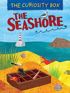 portada The Seashore (The Curiosity Box) (en Inglés)