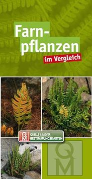 portada Farnpflanzen: Im Vergleich (en Alemán)
