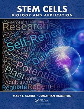 portada Stem Cells: Biology and Application (in English)