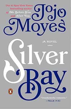 portada Silver bay (in English)