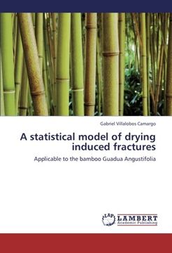 portada A statistical model of drying induced fractures: Applicable to the bamboo Guadua Angustifolia