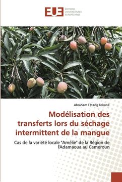 portada Modélisation des transferts lors du séchage intermittent de la mangue (en Francés)