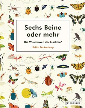 portada Sechs Beine Oder Mehr? Die Wunderwelt der Insekten und Spinnen (in German)