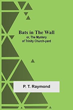 portada Bats in the Wall; Or, the Mystery of Trinity Church-Yard 