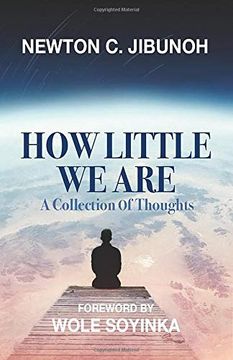portada How Little we Are: A Collection of Thoughts 