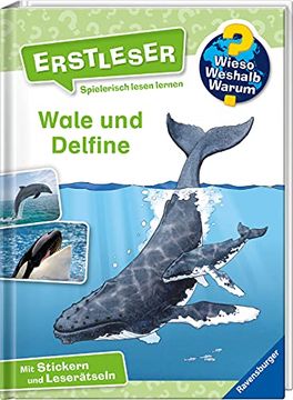 portada Wieso? Weshalb? Warum? Erstleser: Wale und Delfine (Band 3) (en Alemán)