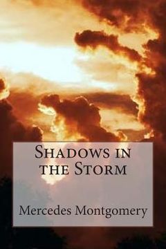 portada Shadows in the Storm (en Inglés)