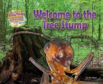 portada Welcome to the Tree Stump