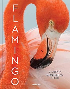 portada Flamingo (en Inglés)