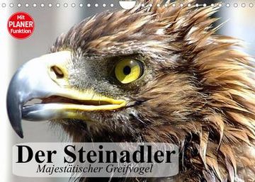 portada Der Steinadler. Majestätischer Greifvogel (Wandkalender 2023 din a4 Quer) (en Alemán)