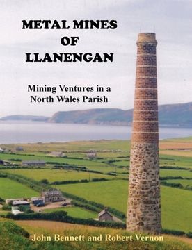portada Metal Mines of Llanengan: Mining Ventures in a North Wales Parish (en Inglés)