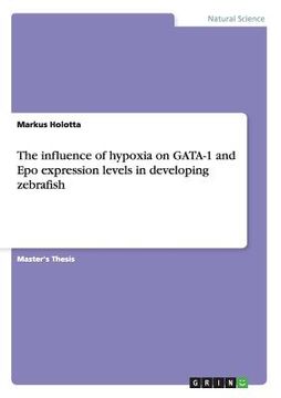 portada the influence of hypoxia on gata-1 and epo expression levels in developing zebrafish (en Inglés)