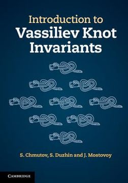 portada introduction to vassiliev knot invariants