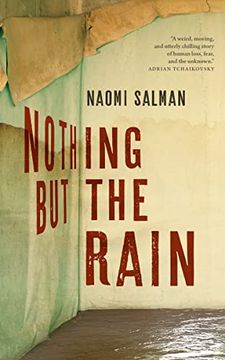portada Nothing but the Rain (in English)