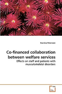 portada co-financed collaboration between welfare services (in English)