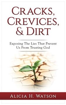 portada Cracks, Crevices, and Dirt: Exposing the Lies That Prevent Us From Trusting God