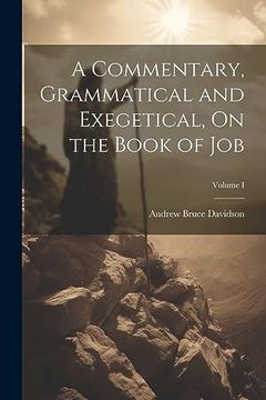 portada A Commentary, Grammatical and Exegetical, on the Book of Job; Volume i (en Inglés)