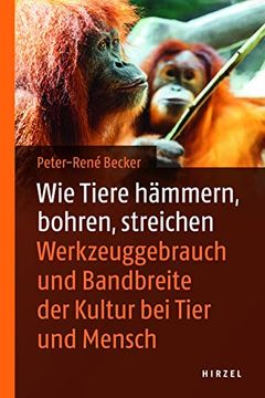 portada Wie Tiere Hämmern, Bohren, Streichen: Werkzeuggebrauch im Tierreich: Werkzeuggebrauch und Bandbreite der Kultur bei Tier und Mensch (en Alemán)