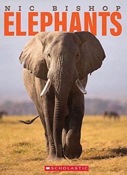 portada Nic Bishop Elephants (en Inglés)