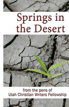 portada springs in the desert (in English)