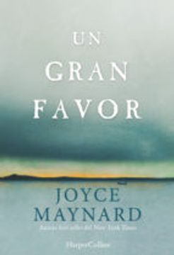Un gran favor (Novela) (Spanish Edition)