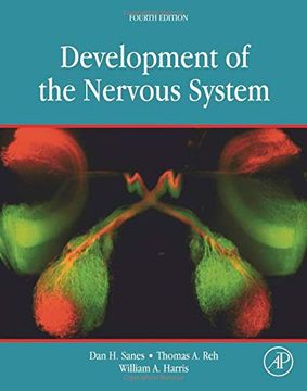 portada Development of the Nervous System (in English)