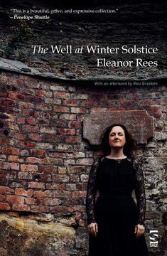 portada The Well at Winter Solstice (Salt Modern Poets) (in English)