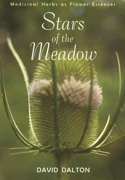 portada stars of the meadow: exploring medicinal herbs as flower essences (in English)