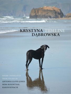 portada Tideline (New Polish Writing) (en Inglés)