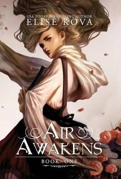 portada Air Awakens (Air Awakens Series Book 1)