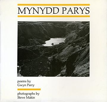 portada Mynydd Parys: Poems