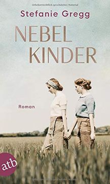 portada Nebelkinder: Roman (in German)