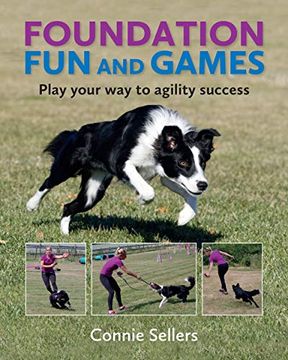portada Foundation fun and Games: Play Your way to Agility Success (en Inglés)