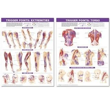 trigger point chart set,torso and extremities