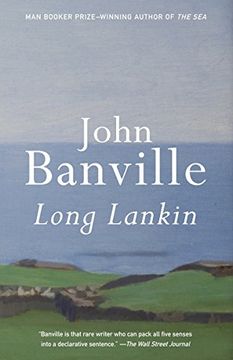 portada Long Lankin (Vintage International Original) (in English)