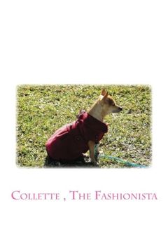 portada Collette , The Fashionista