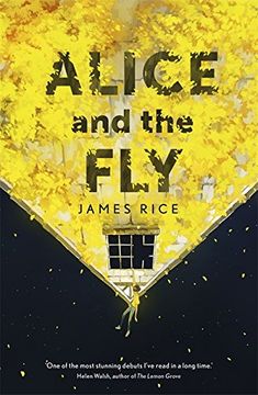 portada Alice and the Fly