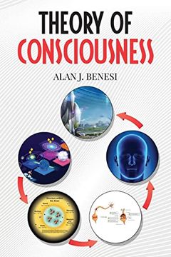 portada Theory of Consciousness (en Inglés)