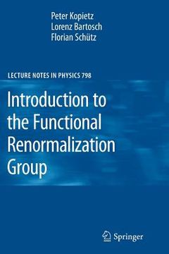 portada introduction to the functional renormalization group